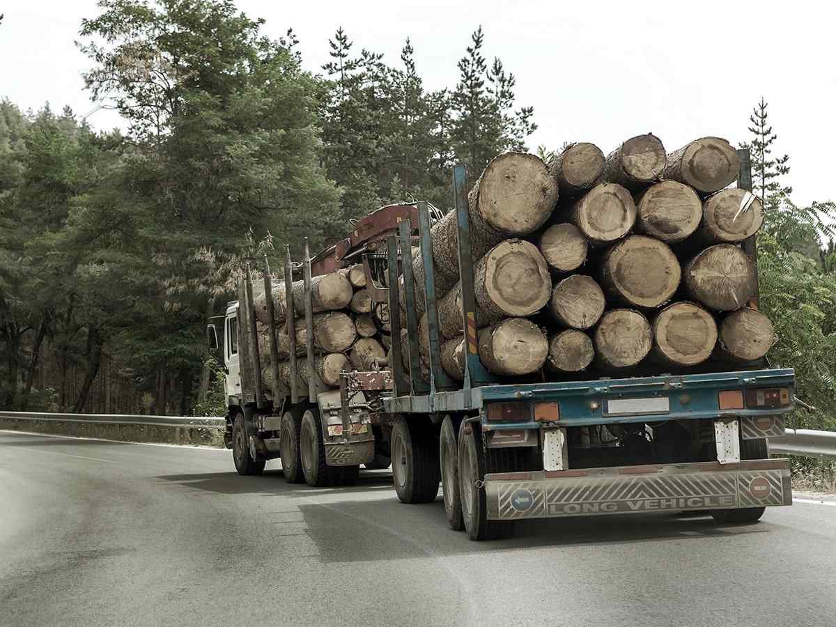 https://hhse12.cdemty.com/wp-content/uploads/2017/08/inner_big_trucks_01.jpg