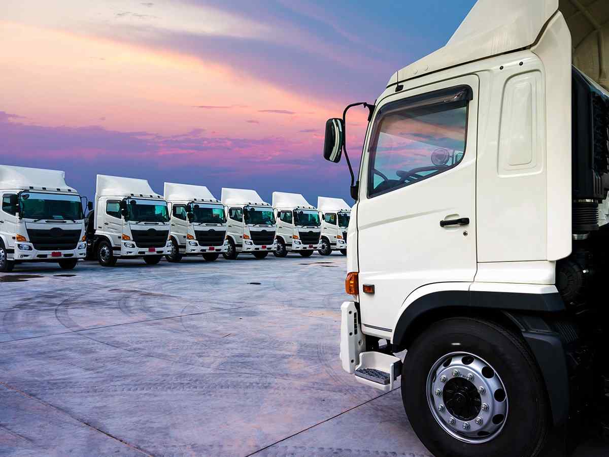 https://hhse12.cdemty.com/wp-content/uploads/2017/08/inner_big_trucks_02.jpg